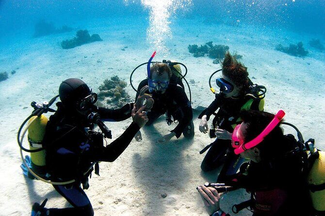 Fethiye Scuba Diving Experience By A Local Expert - Frequently Asked Questions