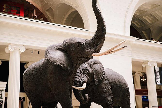 Field Museum of Natural History All-Access Pass - A Complete Look at the Field Museum of Natural History All-Access Pass