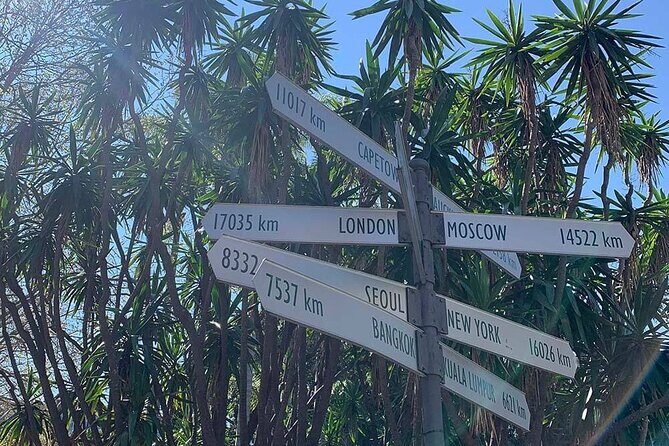 Fierce Nights & Neon Lights - Kings Cross Sydney Scavenger Hunt - What to Expect from the Kings Cross Scavenger Hunt