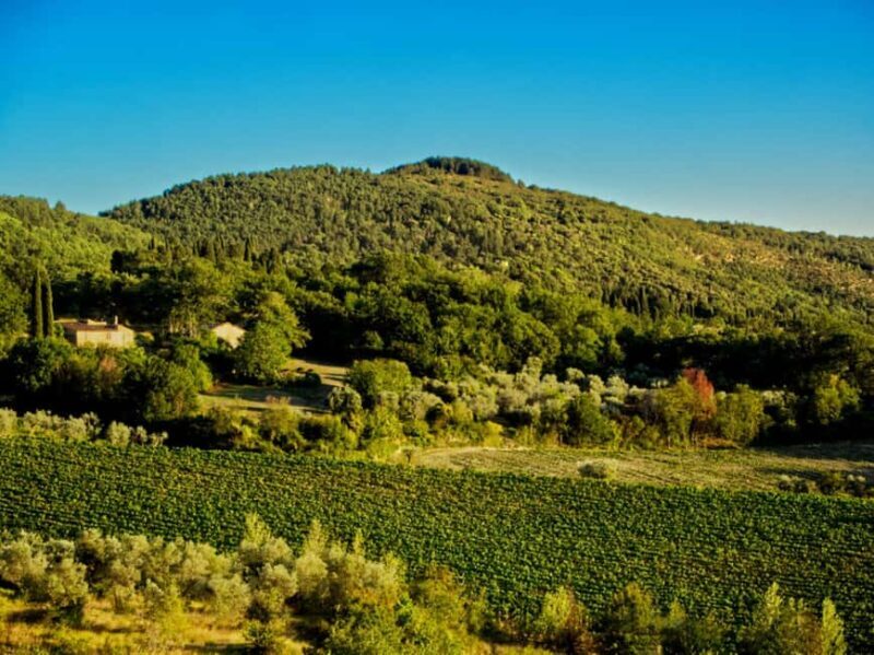 Fiesole E-Bike Tour with Olive Oil Tasting or Pool & Chill - Frequently Asked Questions