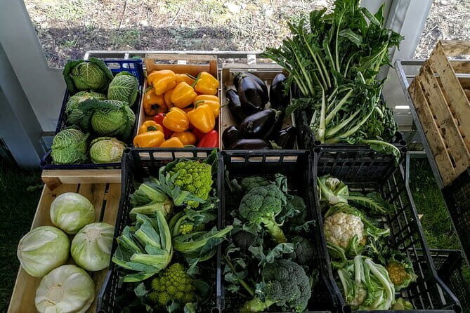 Fiesole: Tuscan Countryside Half Day E-Bike Tour & Farm visit - Why Guests Raved About It
