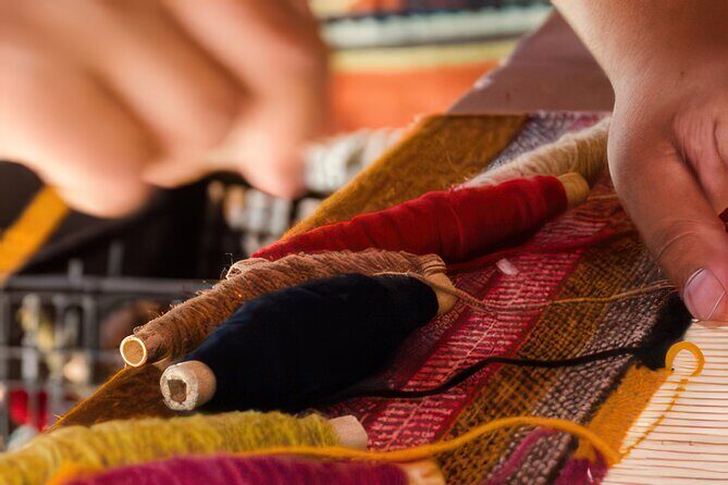 Fiesta Bike Tour in Todos Santos - Who Will Find This Tour Most Enjoyable?