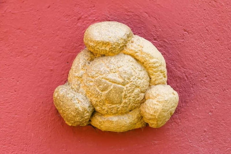 Figueres: Dalí Theater-Museum Guided Tour - Practical Tips for Visitors