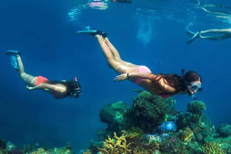 Fiji: Captain Cook Cruises - Island & Reef Day Trip - Optional Extras and Prebooked Tours
