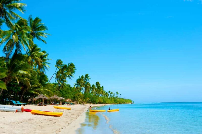 Fiji: Cultural Island Adventure & Jungle Cruise Experience - The Sum Up: Who Is This Tour Best For?