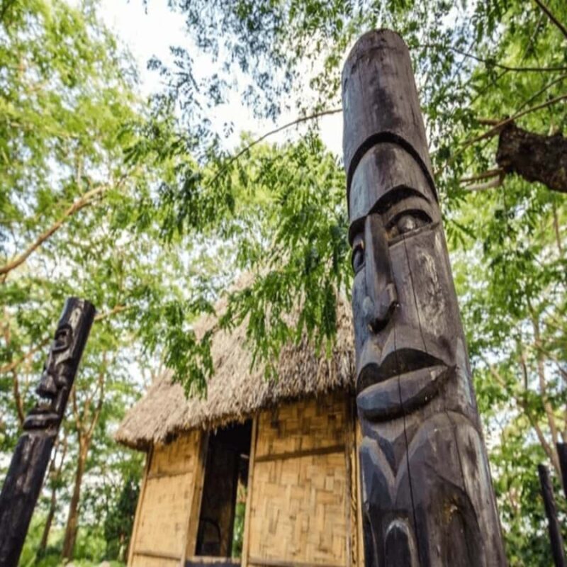 Fiji: Cultural Village Evening Tour with Dinner and Show - A Deep Dive Into the Tour Experience