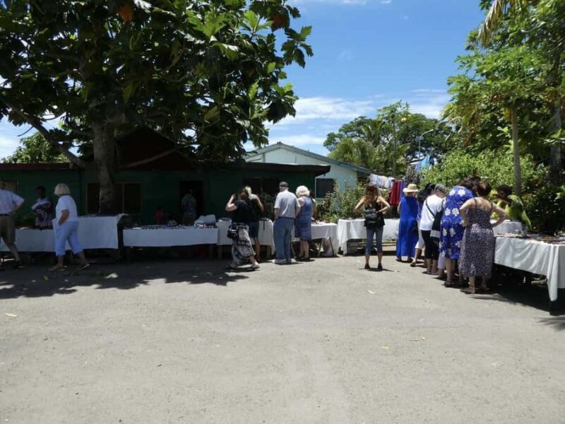 Fiji: Discover Nadi with Sabeto Hotspring and Mudpool Tour - The Sum Up