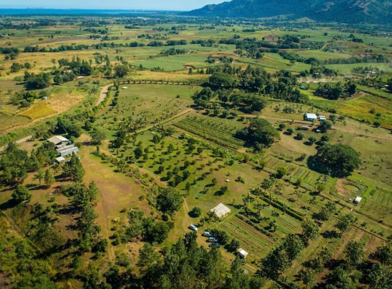 Fiji: Farm Tour: Animals, Honey Tasting & Fijian Cooking - Introduction