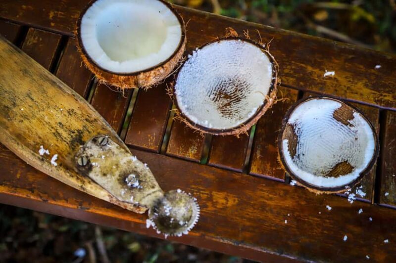 Fiji: Farm Tour: Animals, Honey Tasting & Fijian Cooking - Key Points