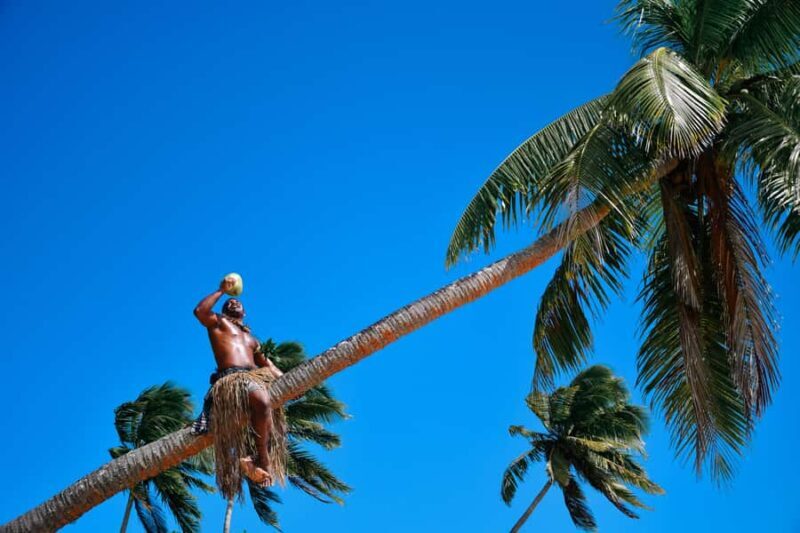 Fiji: Full Day Cultural Island Tour with Lunch & Cruise - Key Points