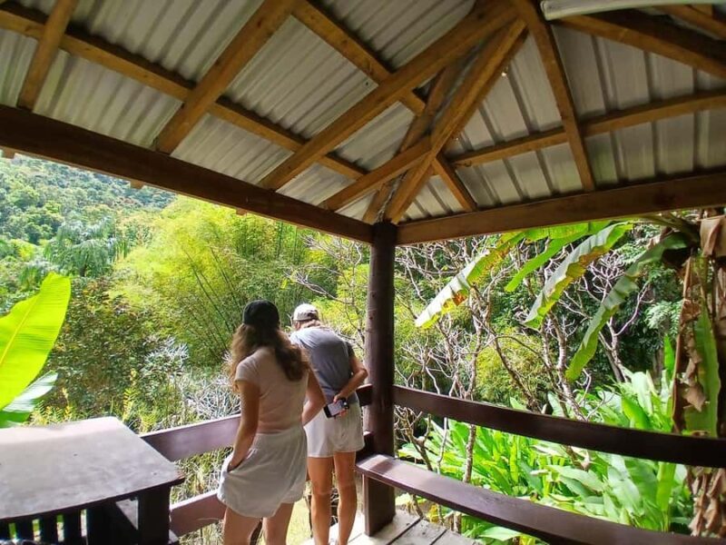 FIJI: Garden of the Sleeping Giant Tour - The Scenic Drive: A Glimpse of Rural Fiji