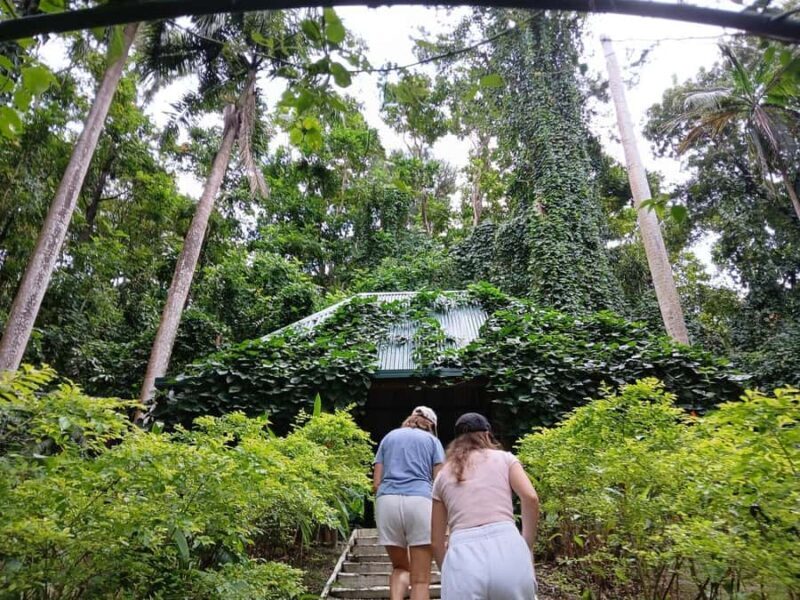 FIJI: Garden of the Sleeping Giant Tour - The Orchid Collection: The Garden’s Star Attraction