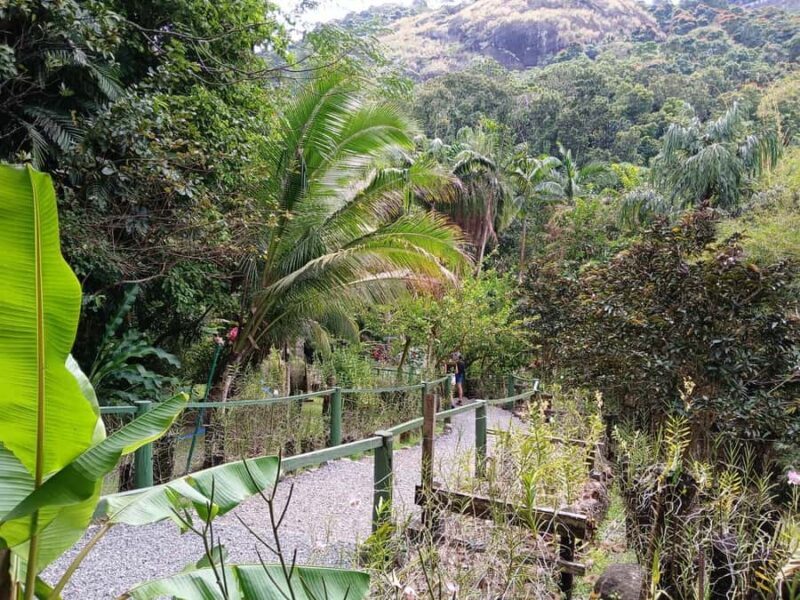 FIJI: Garden of the Sleeping Giant Tour - What to Bring and What to Expect