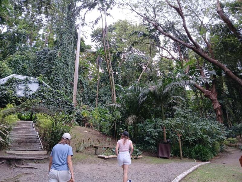 FIJI: Garden of the Sleeping Giant Tour - Authentic Experiences and Honest Feedback