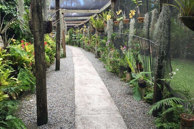 Fiji Island Cultural Experience with Lunch - Who Will Enjoy This Tour?