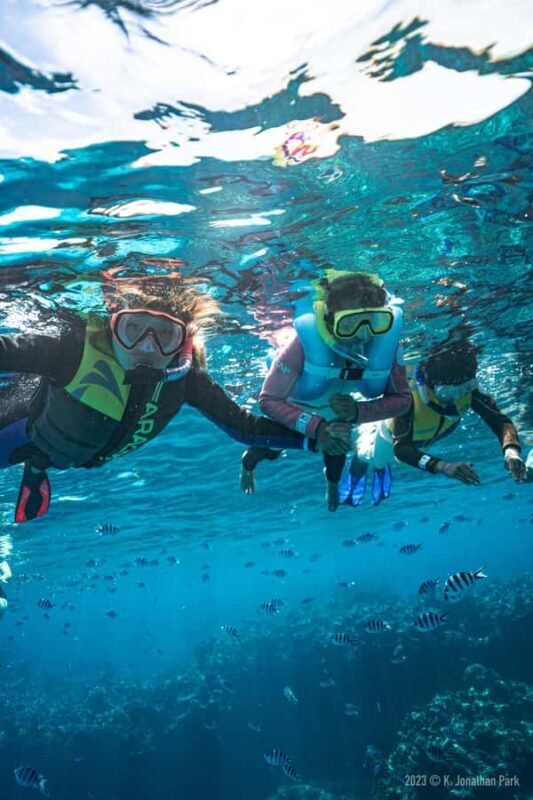 Fiji: Kuata Island Marine Conservation Experience Full Day - Why This Tour Is a Great Value