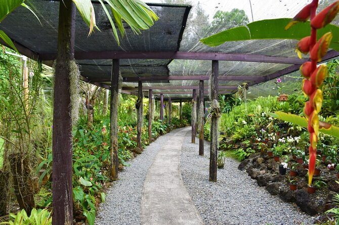 Fiji Lautoka Shore Excursions Tour - FAQs