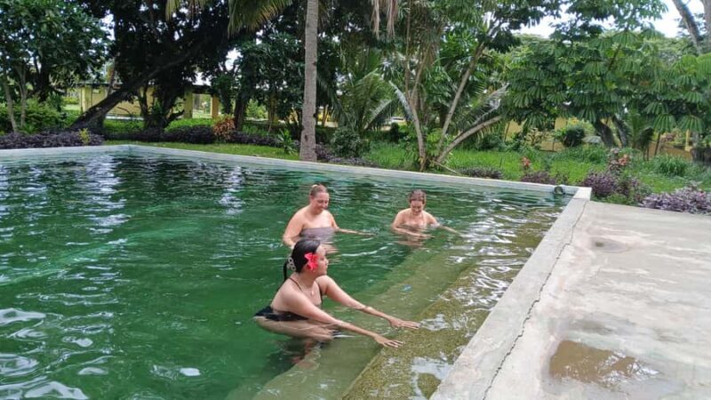 FIJI-NADI: Sabeto Tifajek Hot Spring and Mudpool Tour - The Itinerary and What to Expect