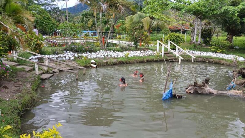FIJI-NADI: Sabeto Tifajek Hot Spring and Mudpool Tour - Who Is This Tour Best Suited For?
