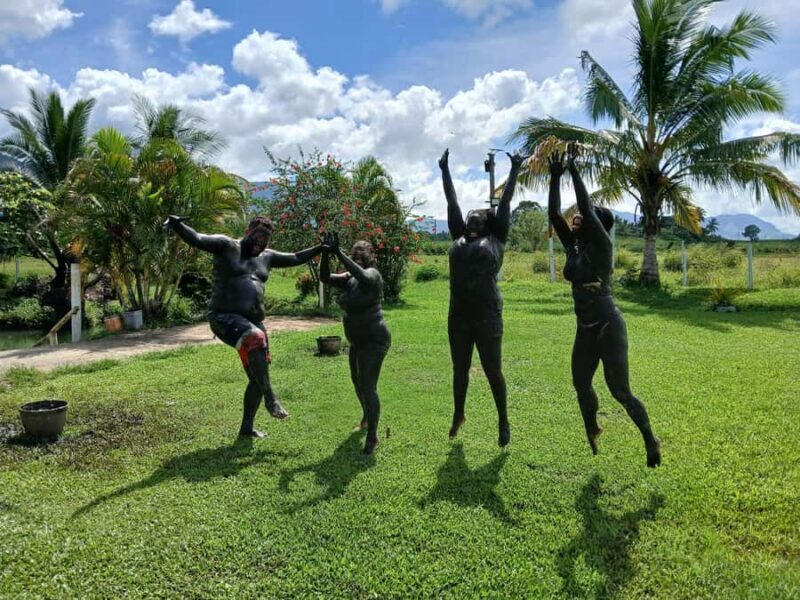 Fiji: Nadi Tour with Tifajek Mudpool and Hotspring Visit - Who Will Enjoy This Tour?