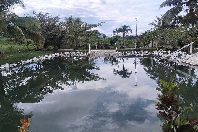 FIJI: Official Tifajek Mud Pool and Hot Spring Tour - A Deep Dive into the Experience