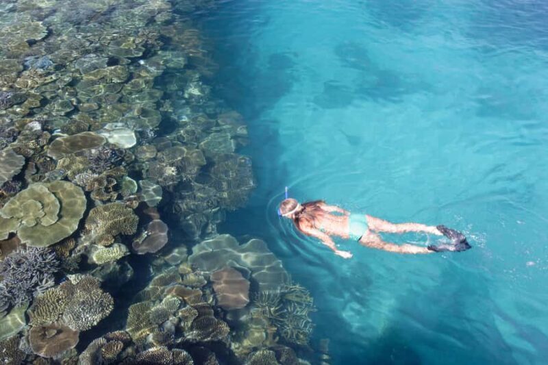 Fiji: South Sea Island Combo Half Day Trip Lunch & Drinks - Logistics and Practical Details