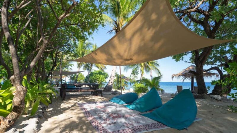 Fiji: South Sea Island Full Day Trip with Lunch & Drinks - The Meal and Drinks