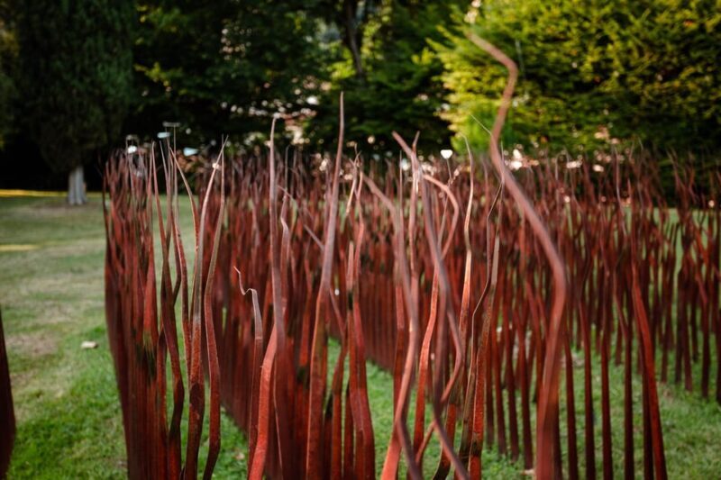 FILANDETTA PARK WINE & ART FARM: FOUNDER'S TOUR - Key Points