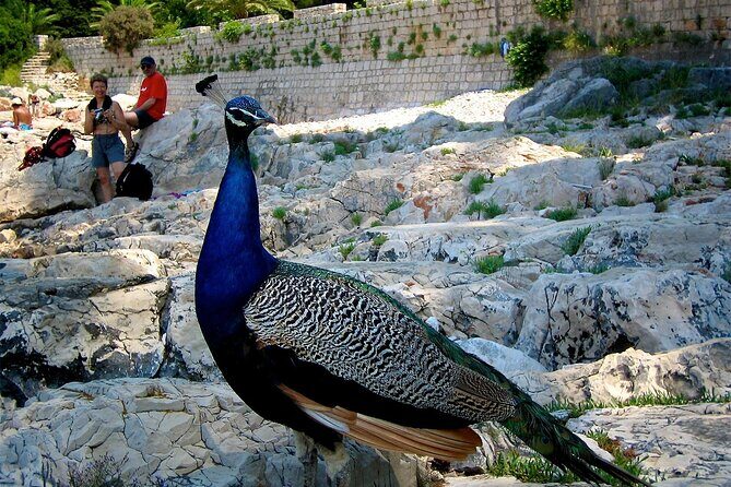 Filerimos Hill & Butterflies Valley Adventure! - FAQs