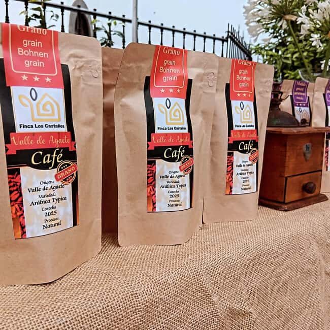 Finca Los Castaños: Agaete Valley Coffee Tour & Tasting - Key Points