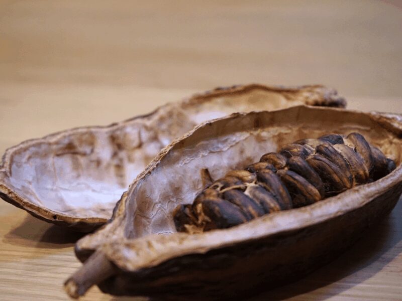 Fine Chocolate Tasting in Turin - An In-Depth Look at the Chocolate Tasting Tour