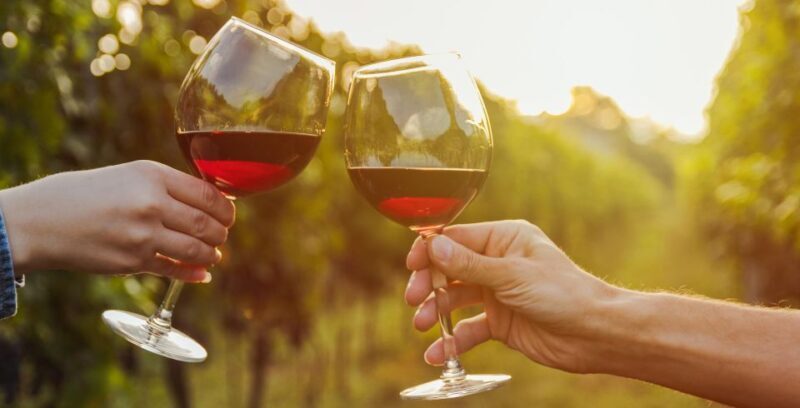 Fine Wining, Saturday - An In-Depth Look at the Tour Experience