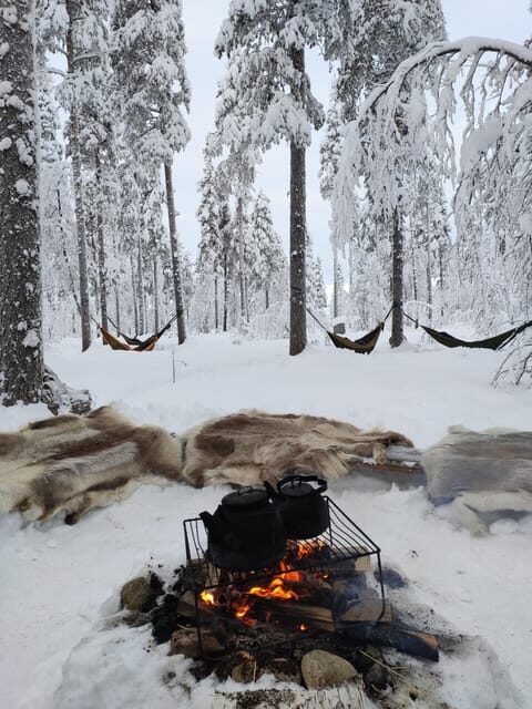 Finland Levi: Arctic Cocooning Experience in HaliPuu Forest - Who Will Love This Experience?