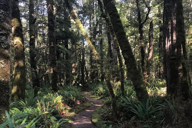 Fiordland Jet Boat and Biking Combo from Te Anau - The Sum Up