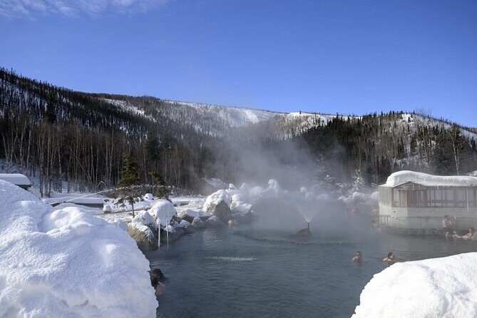 Fire & Ice: Chena Hot Springs, Ice Museum + Aurora Adventure - Real Traveler Insights