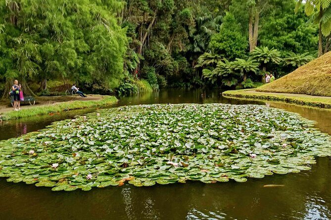Fire Lagoon, Waterfall Route and Furna Tour - An In-Depth Look at the Fire Lagoon, Waterfall Route, and Furna Tour