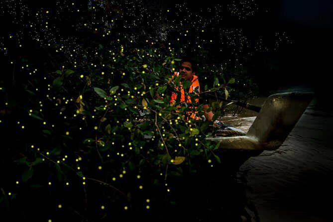 Fireflies and Hots Spring Nature Tour by KLASH - Savoring Fresh Seafood and Sunset