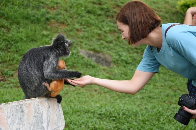 Fireflies Tour (Private Tour) - Exploring the Itinerary: What You Can Expect