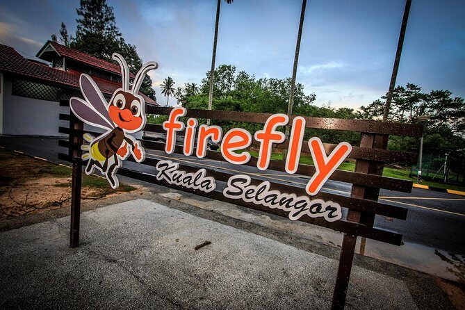 Firefly Tour Include Seafood Dinner with Free Boat Ride from Kuala Lumpur - Transportation and Practicalities