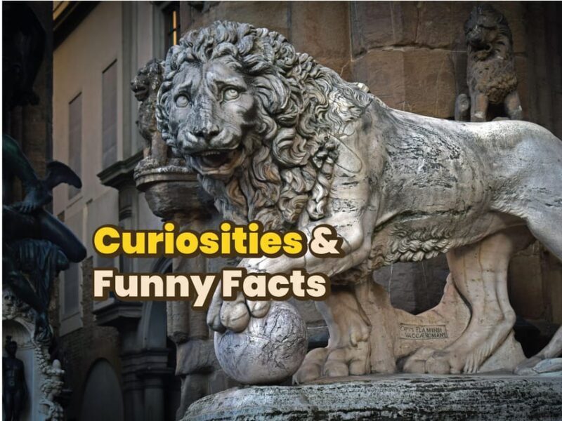 Firenze: Digital Guide made by a Local for your walking tour - Who is This Tour Best For?