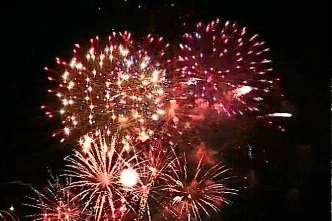 Fireworks Cruise with Dolphin Watch in Laguna Madre Bay - Practical Considerations