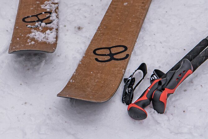 First Arctic Expedition on Altai Skis - Key Points