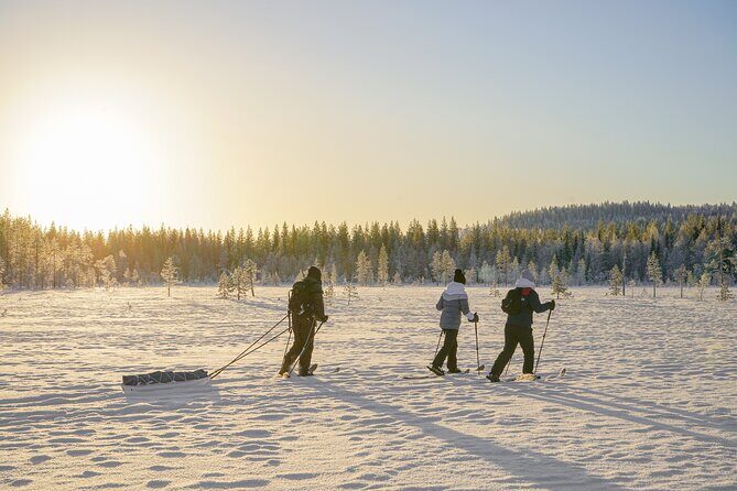 First Arctic Expedition on Altai Skis - Final Thoughts