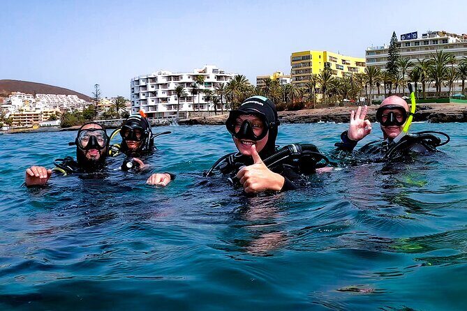 First Dive Experience in Tenerife - An Authentic Look at the Tenerife First Dive Experience