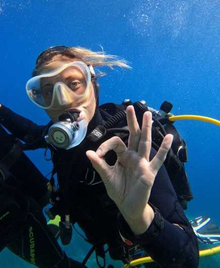 First Scuba Diving Experience in Calvi (From 8 yo) - Key Points