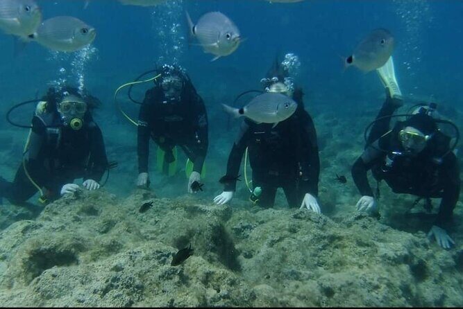 First Time Scuba Dive Adventure, Makronissos, Ayia Napa - Who Will Love This Tour?