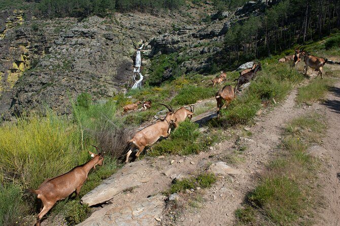 Fisgas de Ermelo Trail - Final Thoughts