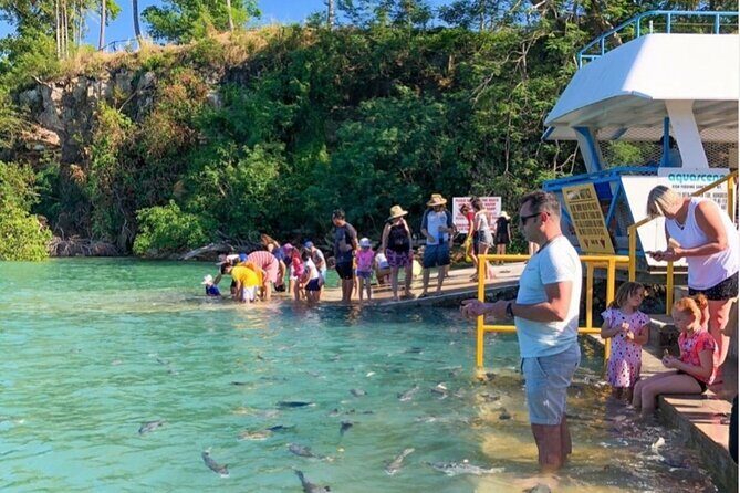 Fish Feeding Activity in Darwin - Key Points
