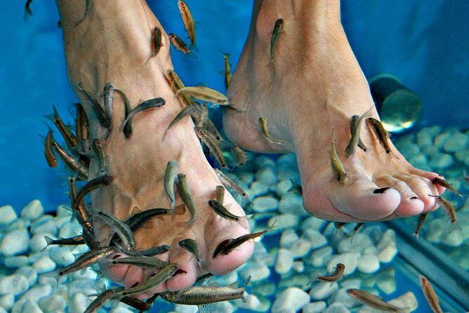 Fish Spa, Beach Break with Lounge Chairs, Umbrellas & Beach Area - An In-depth Look at the Fish Spa & Beach Break Experience