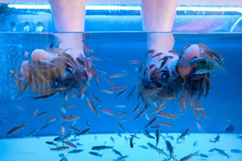 Fish Spa Experience Playa Fañabe - Who Should Consider This Experience?